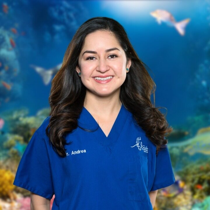 Dr. Andrea Sosa
